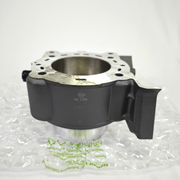 [New] Ducati Genuine Horizontal Cylinder-Piston Assembly 120Z0111AB