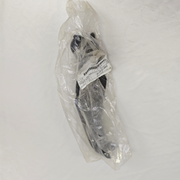 [New] Ducati Monster 821 Left Lower Engine Motor Wiring Cover Guard 48016351B