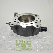[New] Ducati Genuine Horizontal Cylinder-Piston Assembly 120Z0111AB