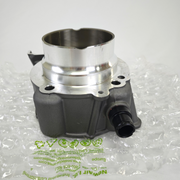 [New] Ducati Genuine Horizontal Cylinder-Piston Assembly 120Z0111AB