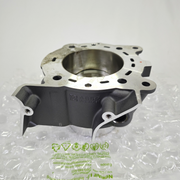 [New] Ducati Genuine Horizontal Cylinder-Piston Assembly 120Z0111AB