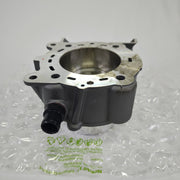 [New] Ducati Genuine Horizontal Cylinder-Piston Assembly 120Z0111AB