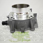 [New] Ducati Genuine Horizontal Cylinder-Piston Assembly 120Z0111AB